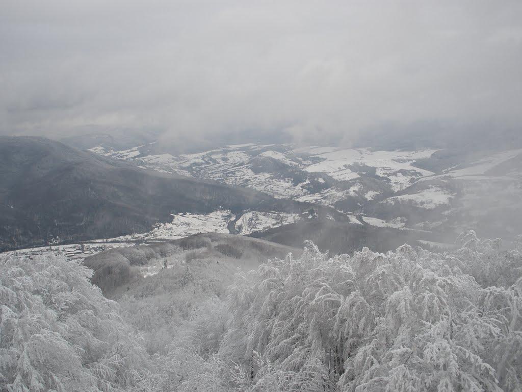Вишка з panoramio.com - Вышка