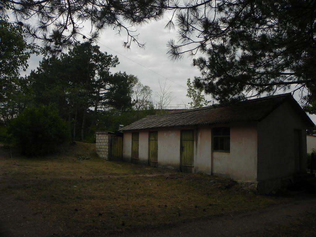 Научний з panoramio.com - Научный