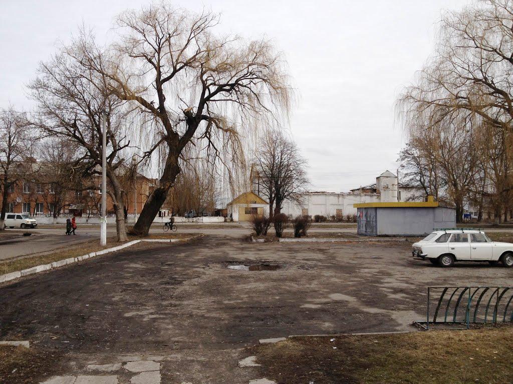 Узин з panoramio.com - Узин