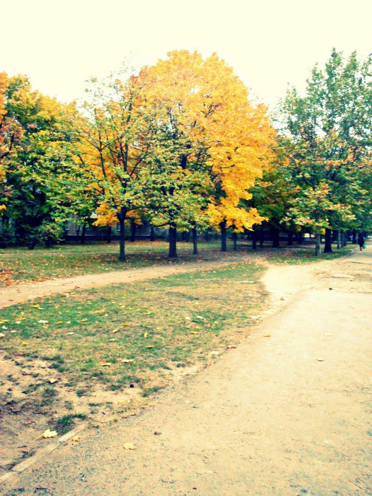 Ізмаїл з panoramio.com (ч.2) - Измаил
