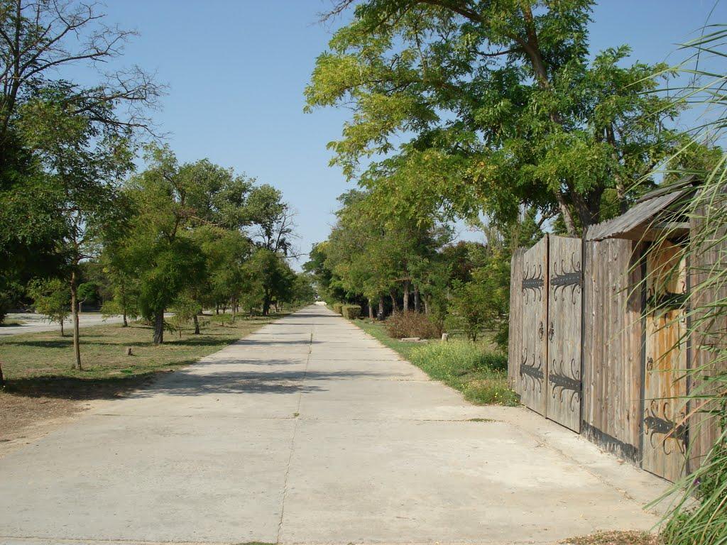 Заозерне з panoramio.com - Заозерне