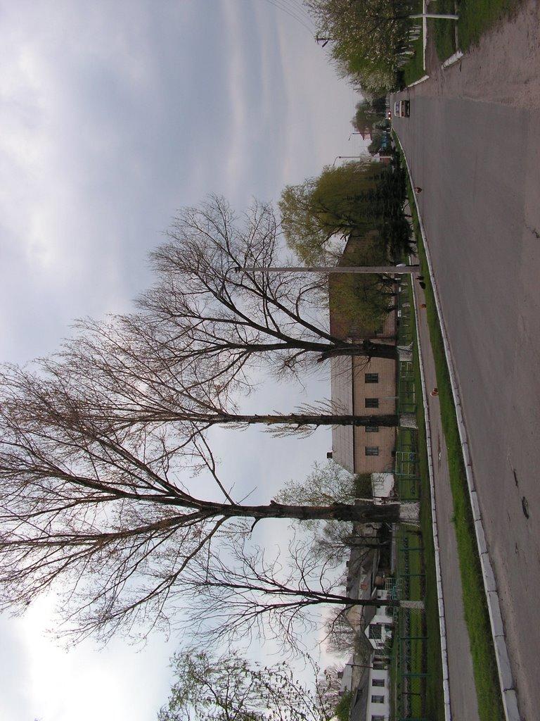 Любомль з panoramio.com - Lyuboml