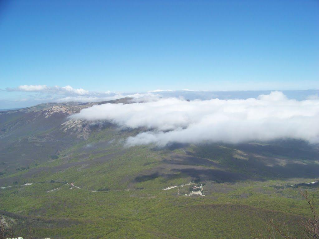 Лаванда з panoramio.com (ч.2) - Лаванда