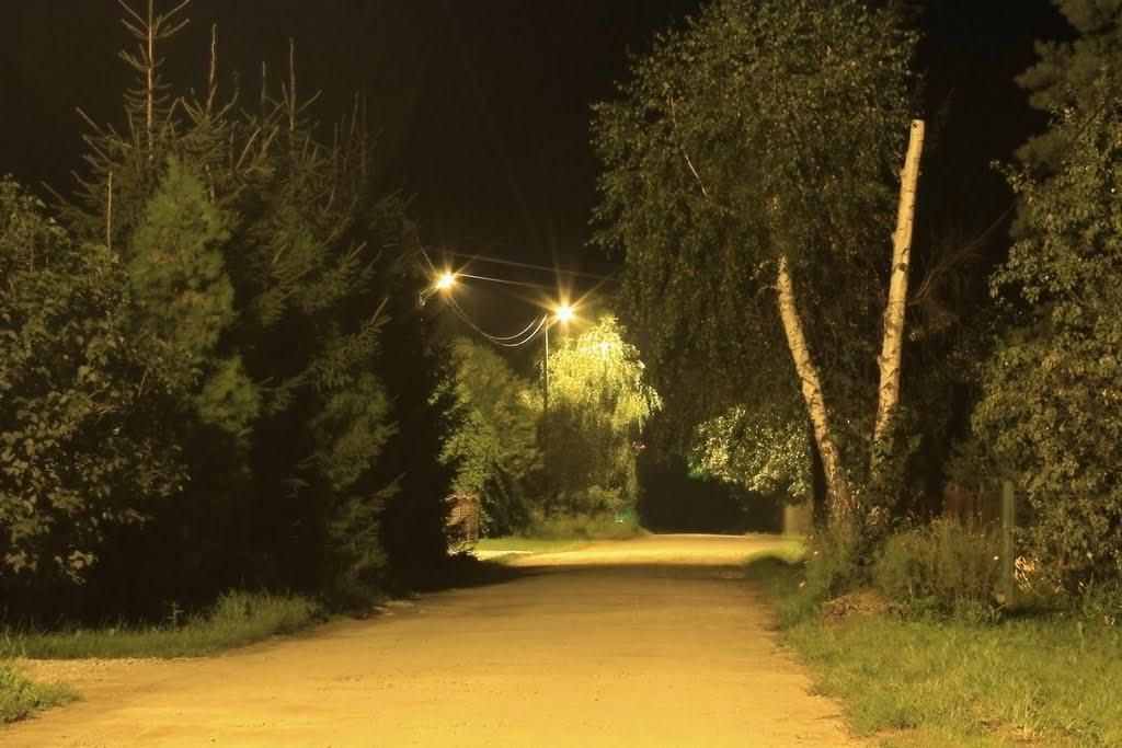Циків з panoramio.com - Цыков