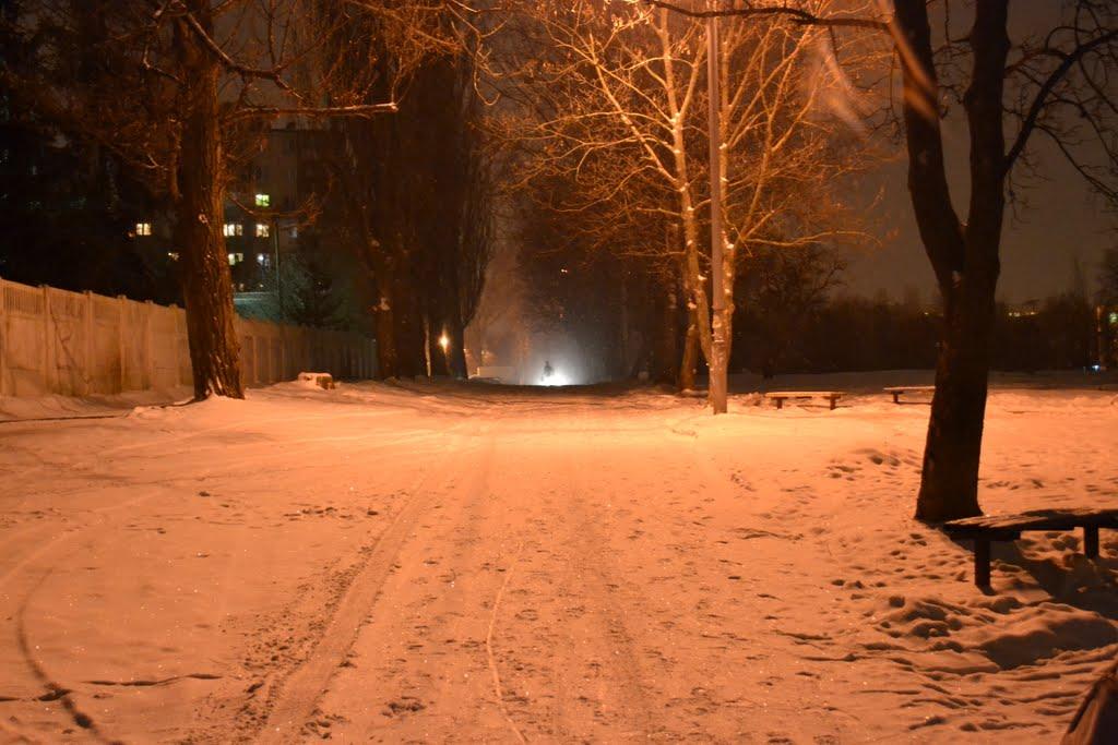 Софіївська Борщагівка з panoramio.com (ч.2) - Софиевская Борщаговка