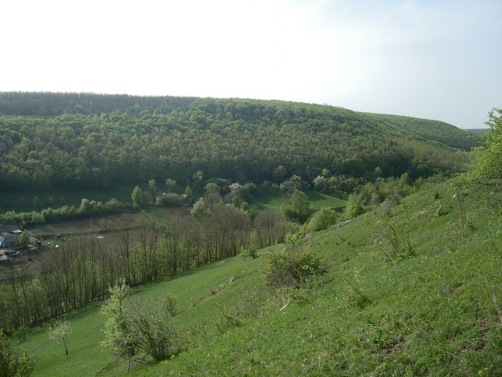 Маціорськ з panoramio.com - Маціорськ