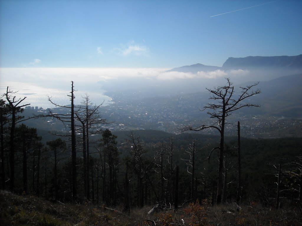Совєтське з panoramio.com (ч.2) - Советское