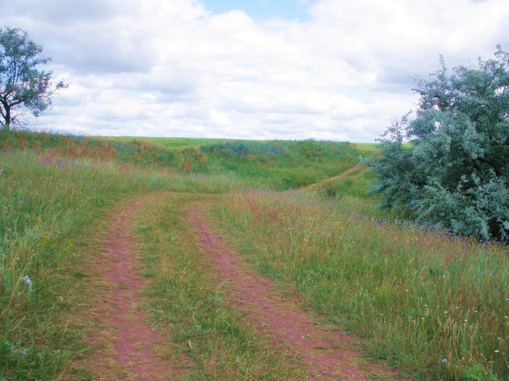 Антонівка з panoramio.com - Антонівка