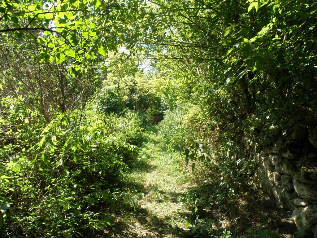 Трудове з panoramio.com - Трудове