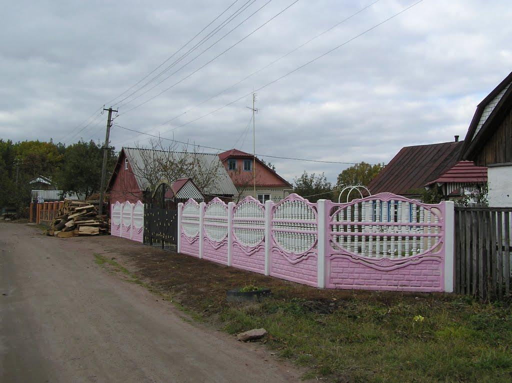 Горщик з panoramio.com - Горщик
