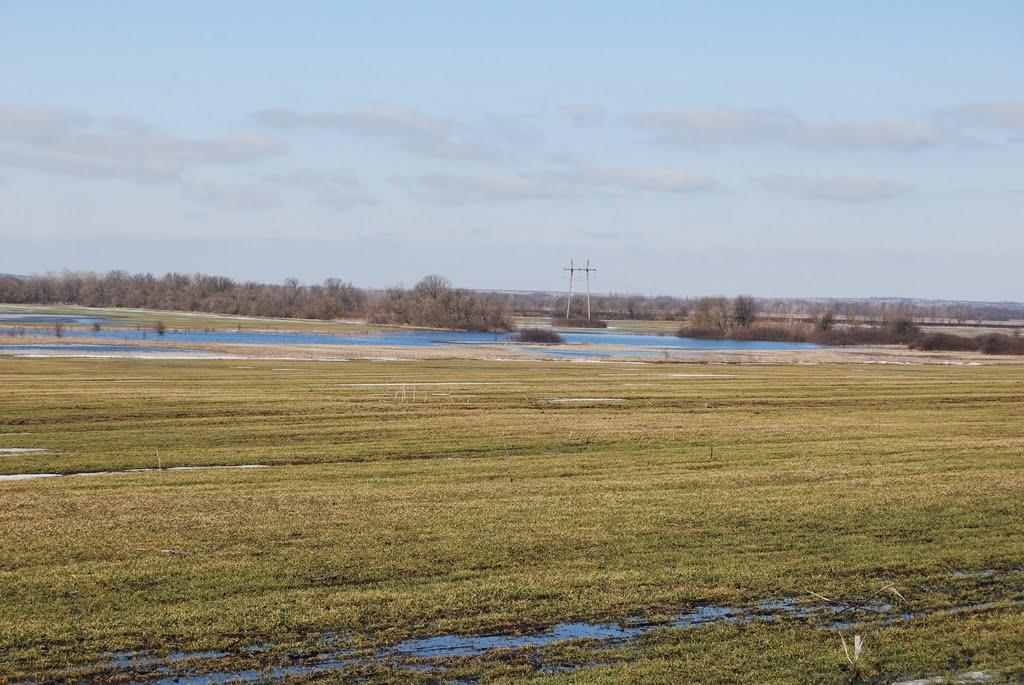 В'язівка з panoramio.com - Вязовка