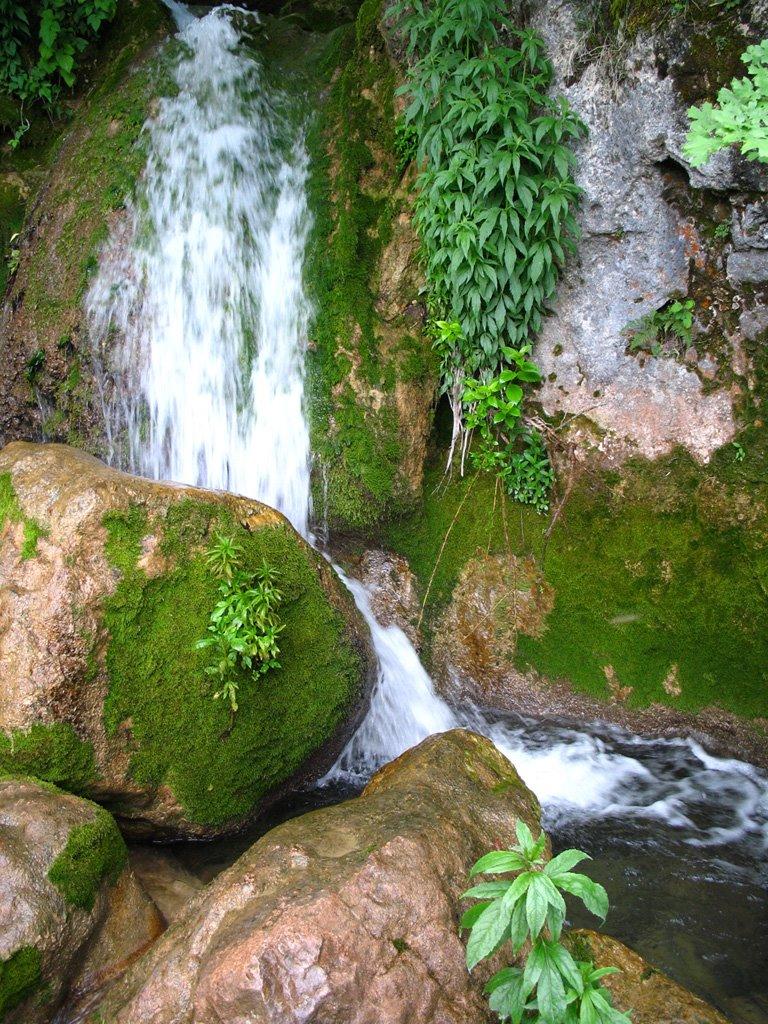 Чайковське з panoramio.com (ч.2) - Чайковське