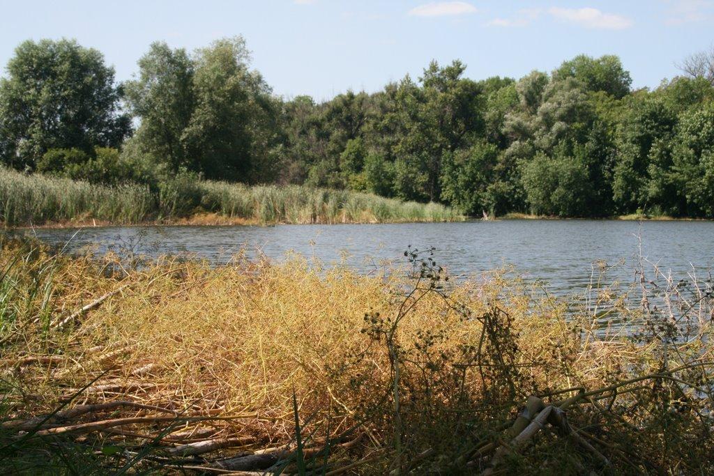 Весела Гора з panoramio.com - Весела Гора