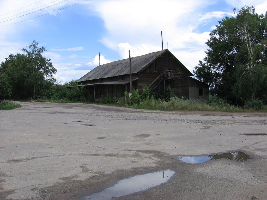 Покотилівка з panoramio.com - Покотиловка