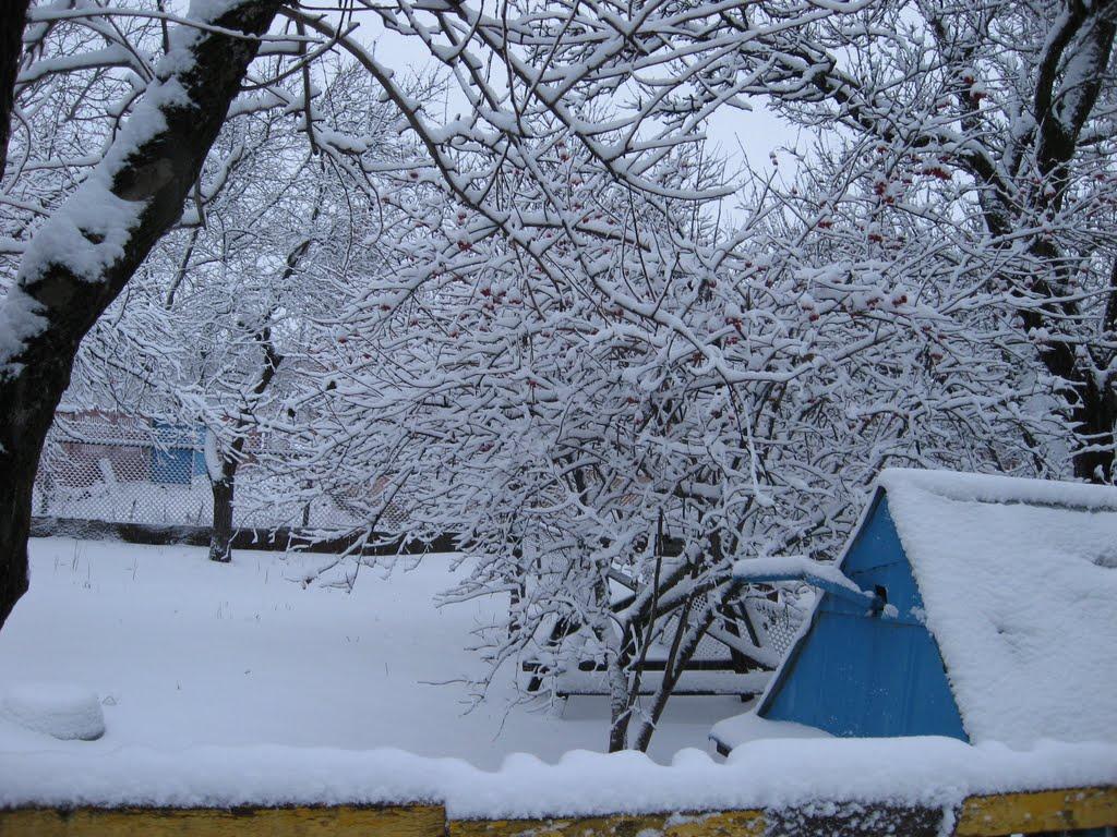 Трепівка з panoramio.com - Трепівка