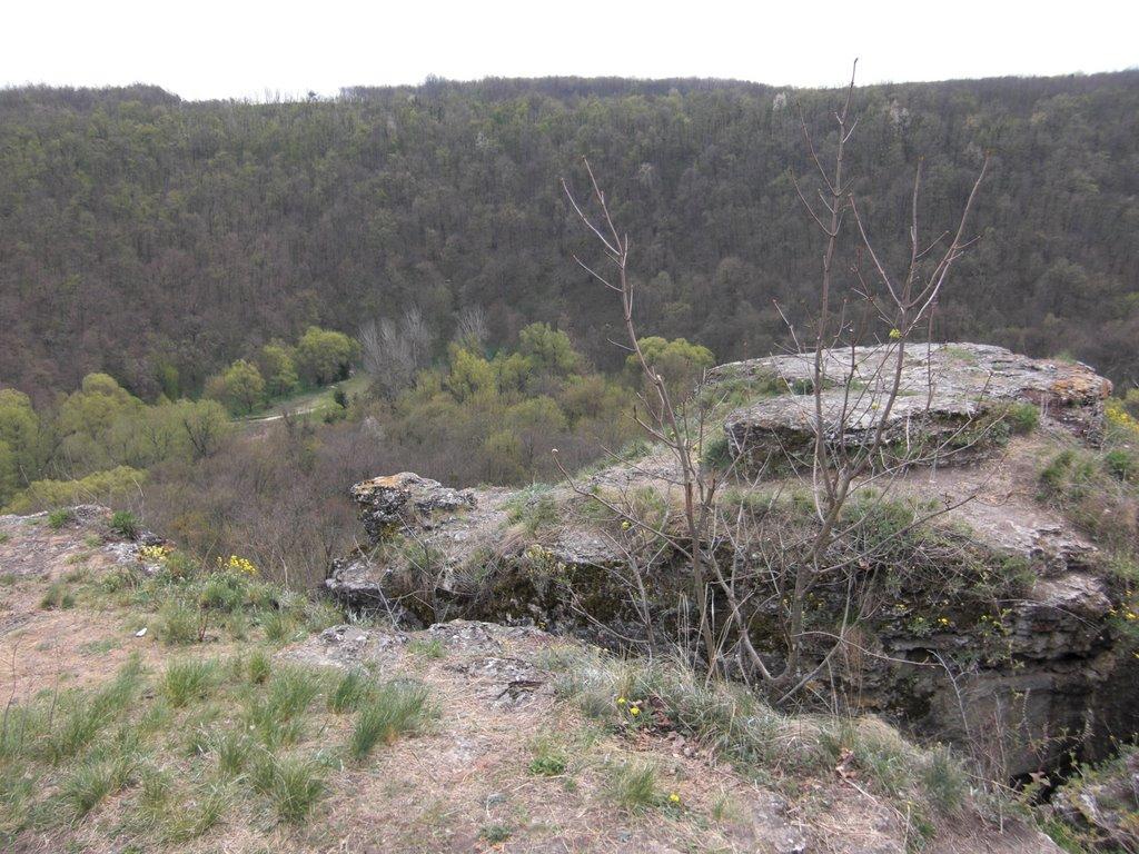 Миролюбівка з panoramio.com - Миролюбівка