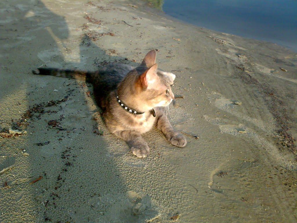 Пухівка з panoramio.com - Пухівка