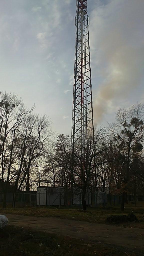 Лиман з panoramio.com - Лиман