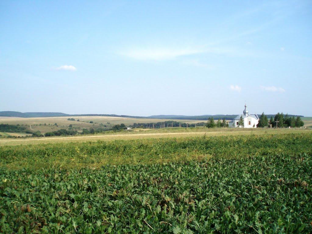 Малі Бірки з panoramio.com - Малі Бірки