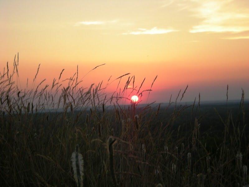 Шишаки з panoramio.com - Шишаки