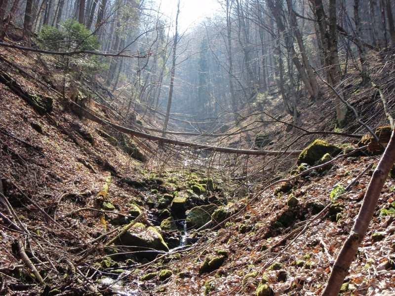 Вишка з panoramio.com - Вышка