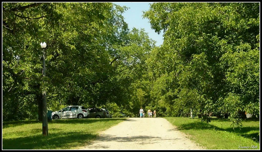 Галабор з panoramio.com - Galabor