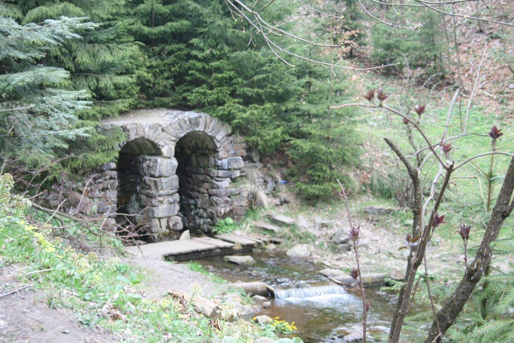 Синевирська Поляна з panoramio.com - Синевирская Поляна