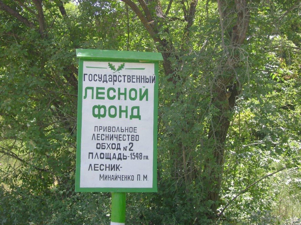 Малинівка з panoramio.com - Малиновка