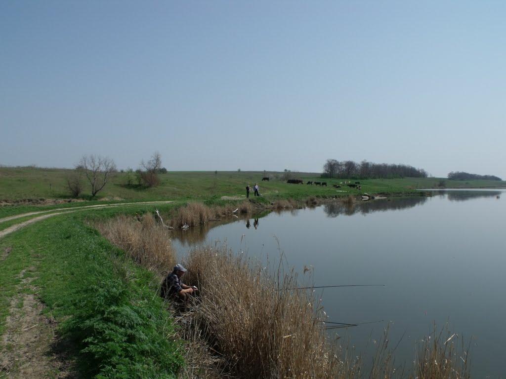 Грушеве з panoramio.com - Грушевое