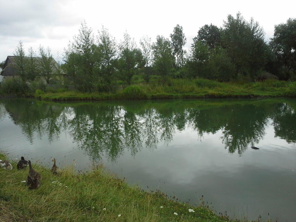 Сошники з panoramio.com - Сошники