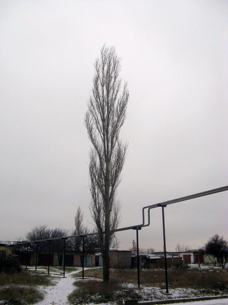 Шкільне з panoramio.com - Школьное