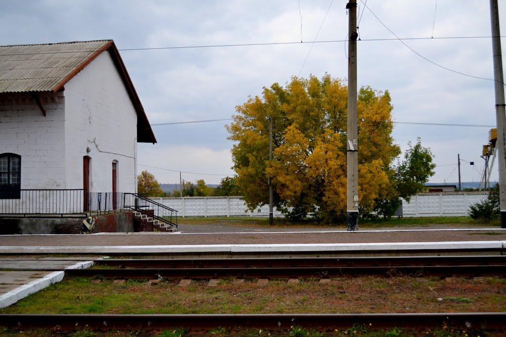 Павлівка з panoramio.com - Павлівка