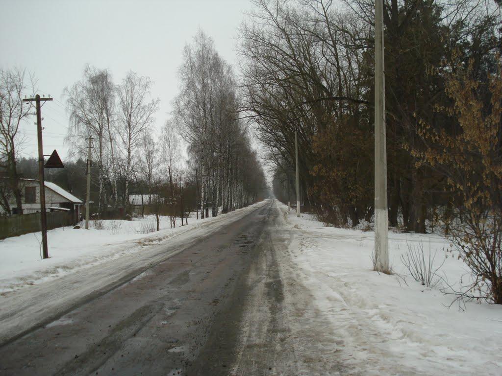 Макошине з panoramio.com - Макошине