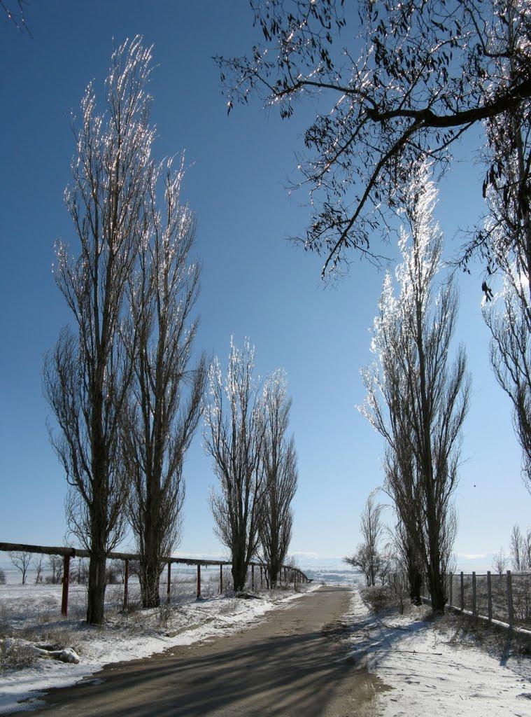 Шкільне з panoramio.com - Школьное
