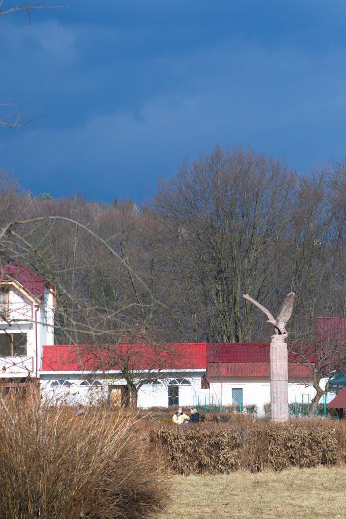 Поляна з panoramio.com - Поляна