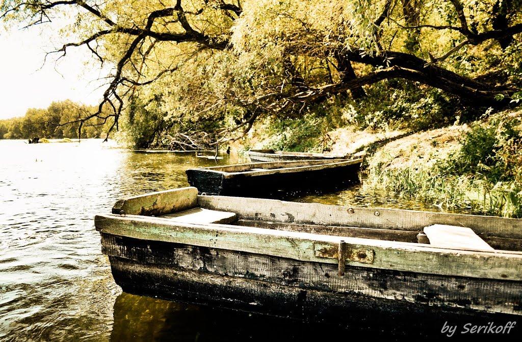 Нижнє з panoramio.com - Нижнє