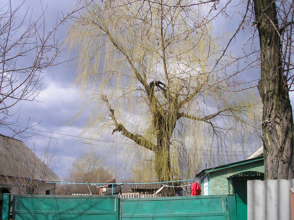 Новий Тагамлик з panoramio.com - Новий Тагамлик