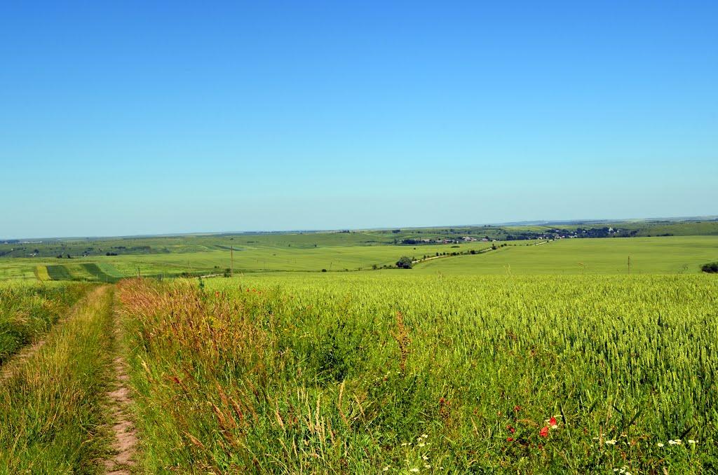 Хотимир з panoramio.com - Хотимир