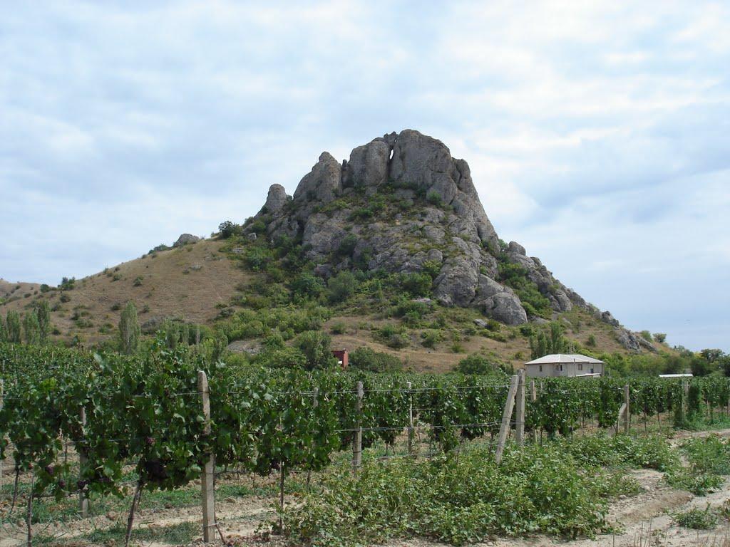 Щебетовка з panoramio.com (ч.2) - Щебетовка