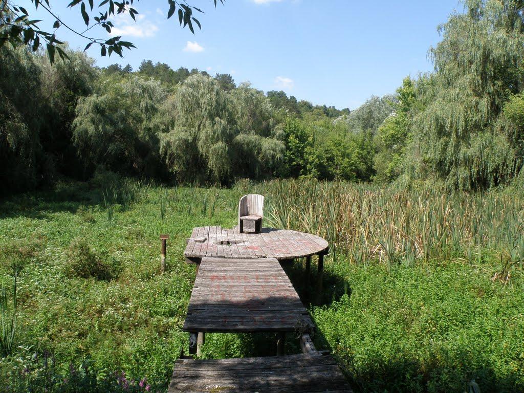 Миролюбівка з panoramio.com - Миролюбівка