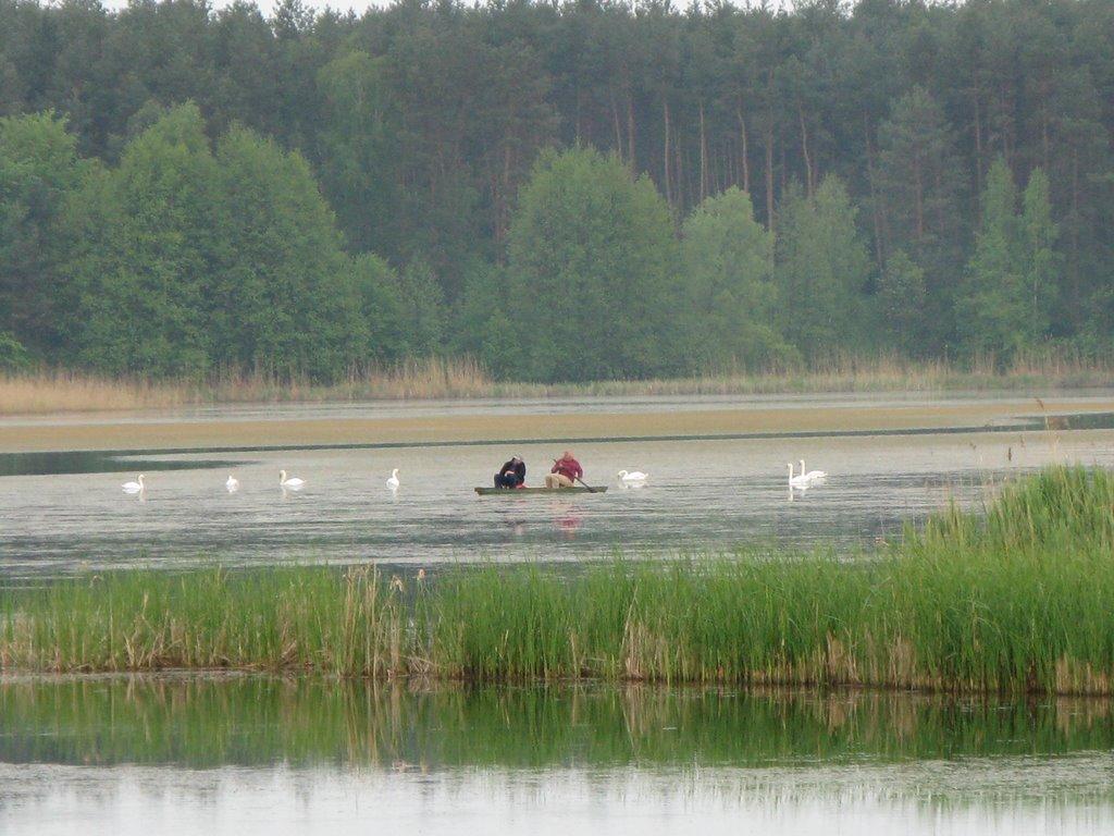 Маслівка з panoramio.com - Масловка