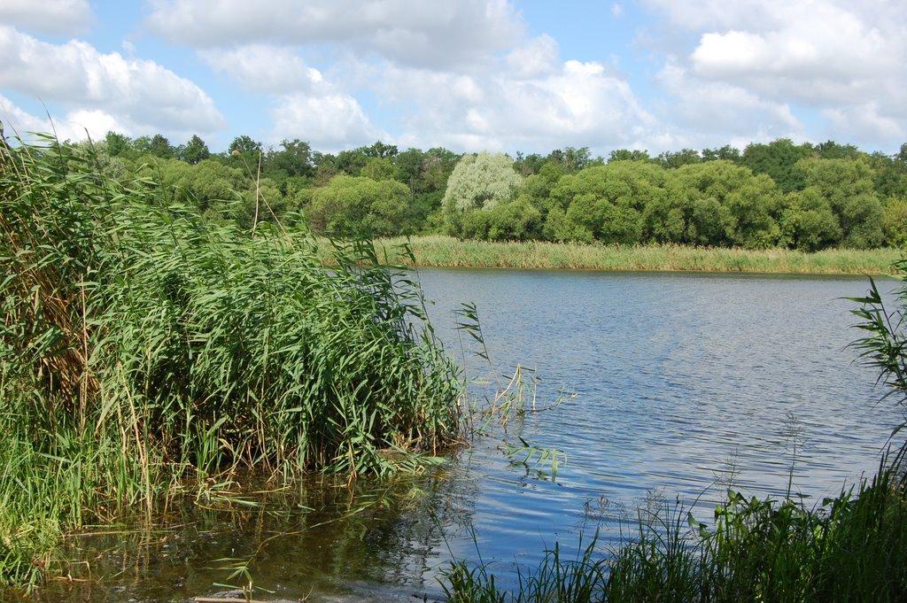 Чеснопіль з panoramio.com - Chesnopil