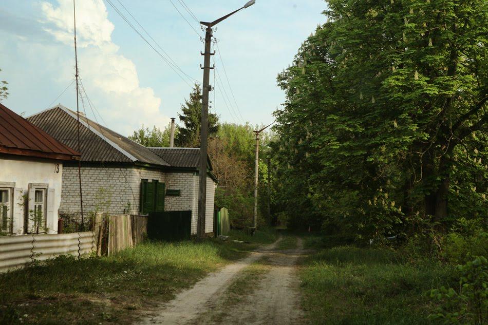 Чорнобиль з panoramio.com (ч.2) - Chornobyl