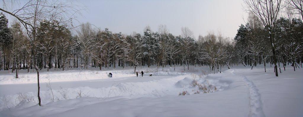 Шепетівка з panoramio.com (ч.2) - Шепетовка