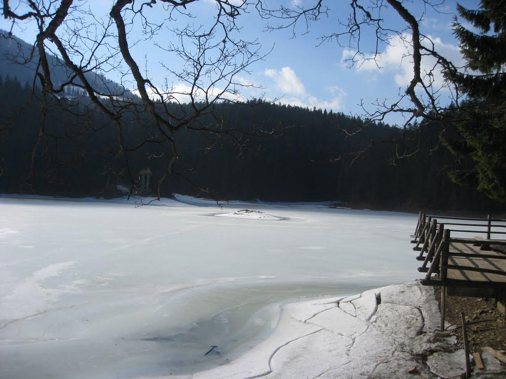 Синевирська Поляна з panoramio.com - Синевирская Поляна