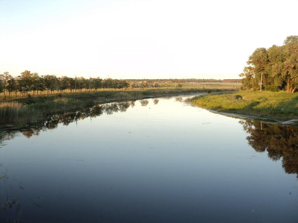 Комар з panoramio.com - Комар