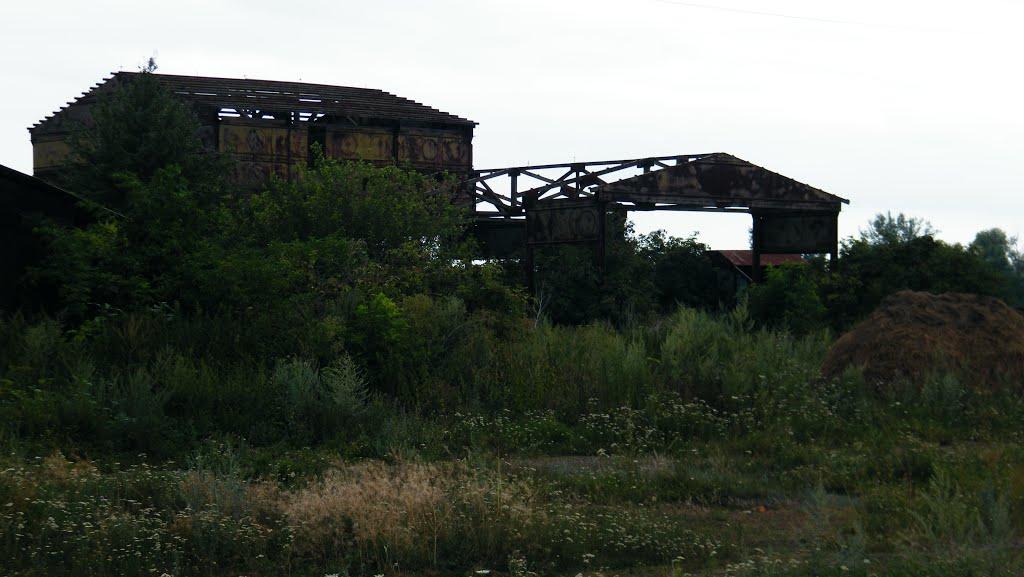 Дяченки з panoramio.com - Дьяченки