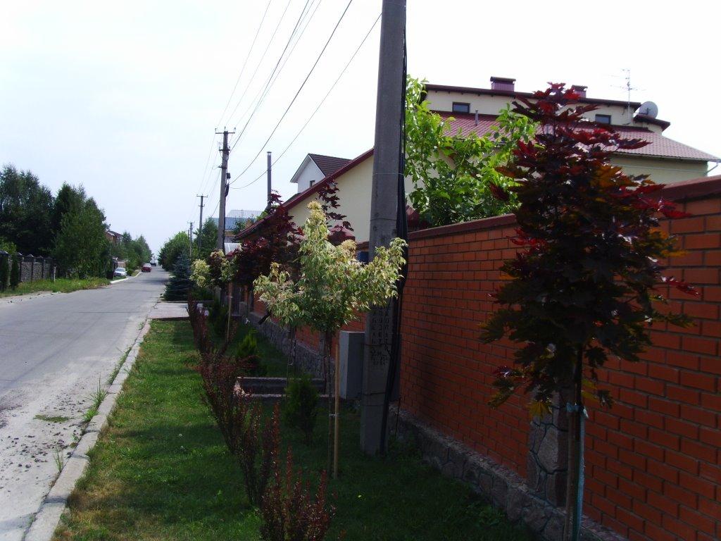 Петропавлівська Борщагівк з panoramio.com - Петропавловская Борщаговк
