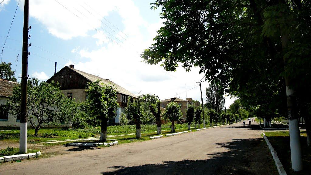 Нововоронцовка з panoramio.com - Нововоронцовка