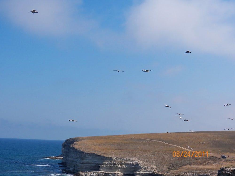 Чорноморське з panoramio.com - Chornomorske